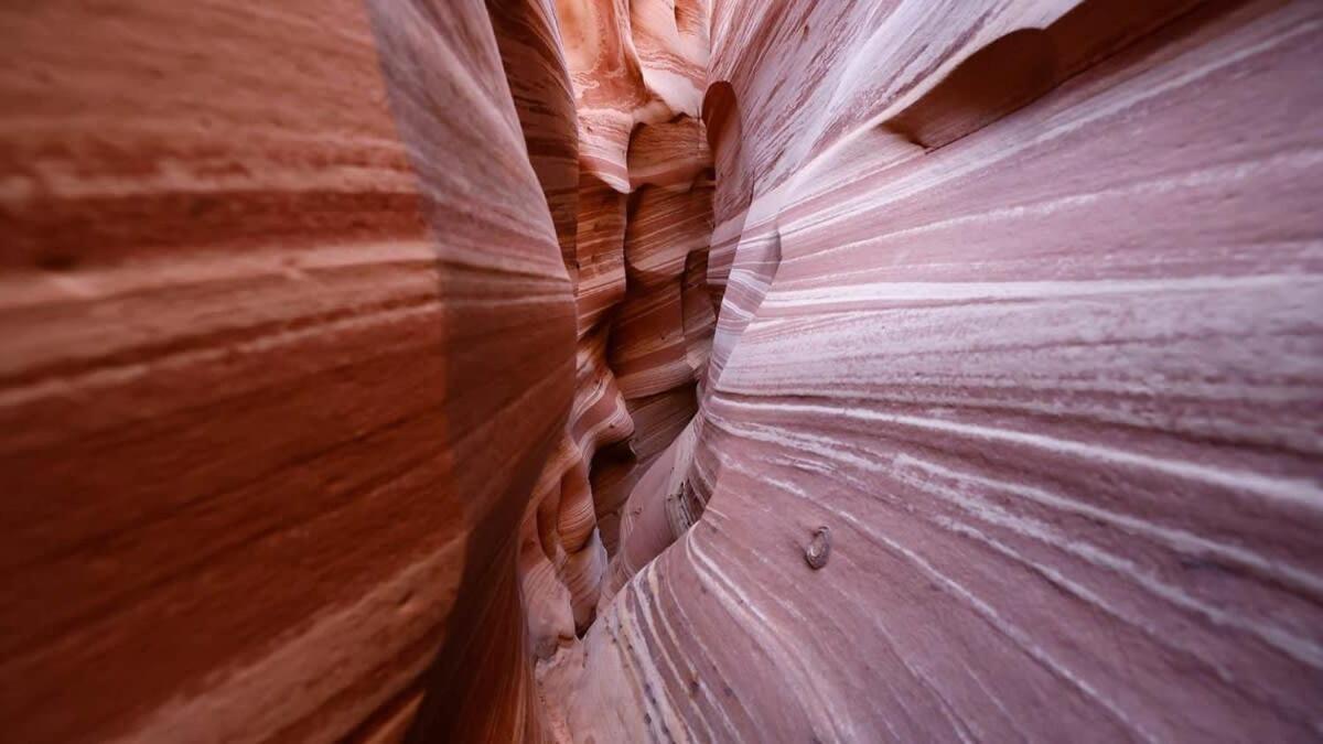 Escalante Escapes Tumble Weed- Bunk Escape Exterior foto